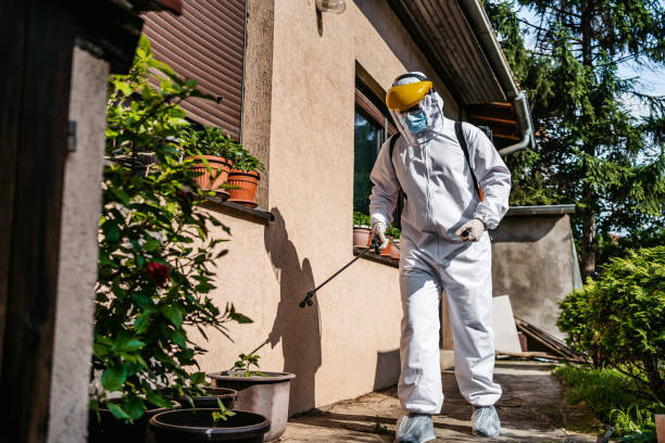 Best Pest Inspection Near Me  in St Louis, MO