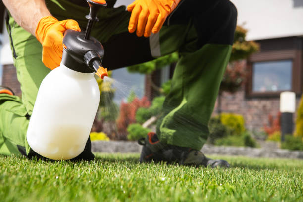 Best Cockroach Control Services  in St Louis, MO