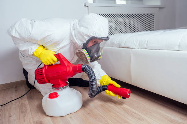 Best Local Pest Control Services  in St Louis, MO