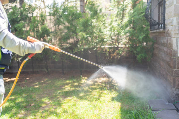 Best Bed Bug Extermination  in St Louis, MO