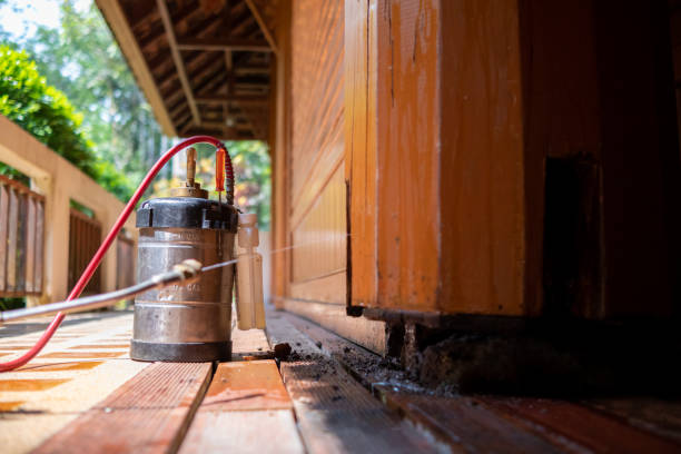 Best Termite Control Services  in St Louis, MO