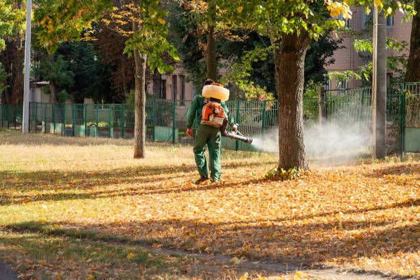 Best Bird Control  in St Louis, MO