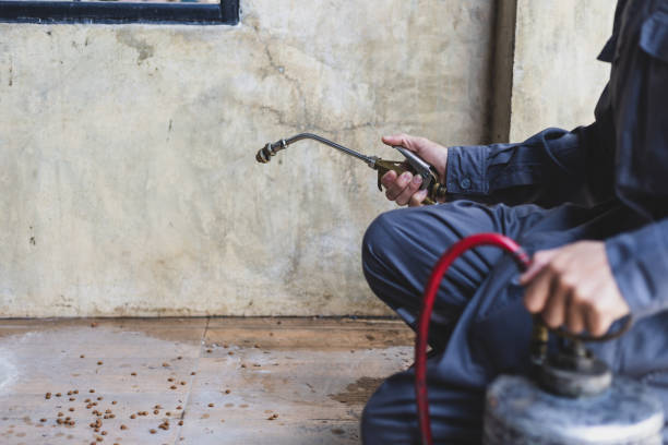 Professional Pest Control in St Louis, MO